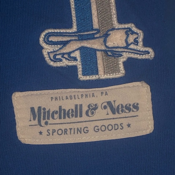 DETROIT NFL LIONS AUTHENTIC THICK WARM SWEATER MITCHELL&NESS 1953 LOGO MEDIUM - Picture 8 of 12